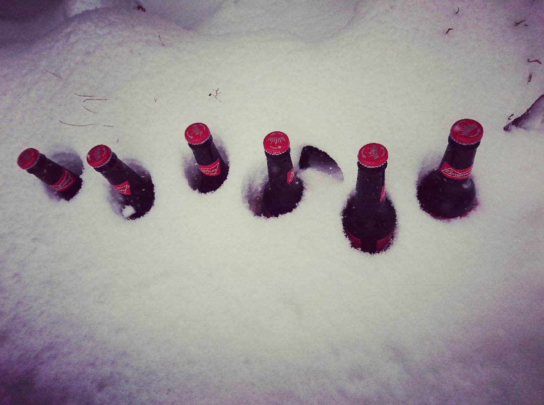 funkiloomy's tweet photo. Snow Day.... Buds on ice! #winning #Budweiser #snowday #chilled #icecoldbud https://t.co/gSfB7oImPN