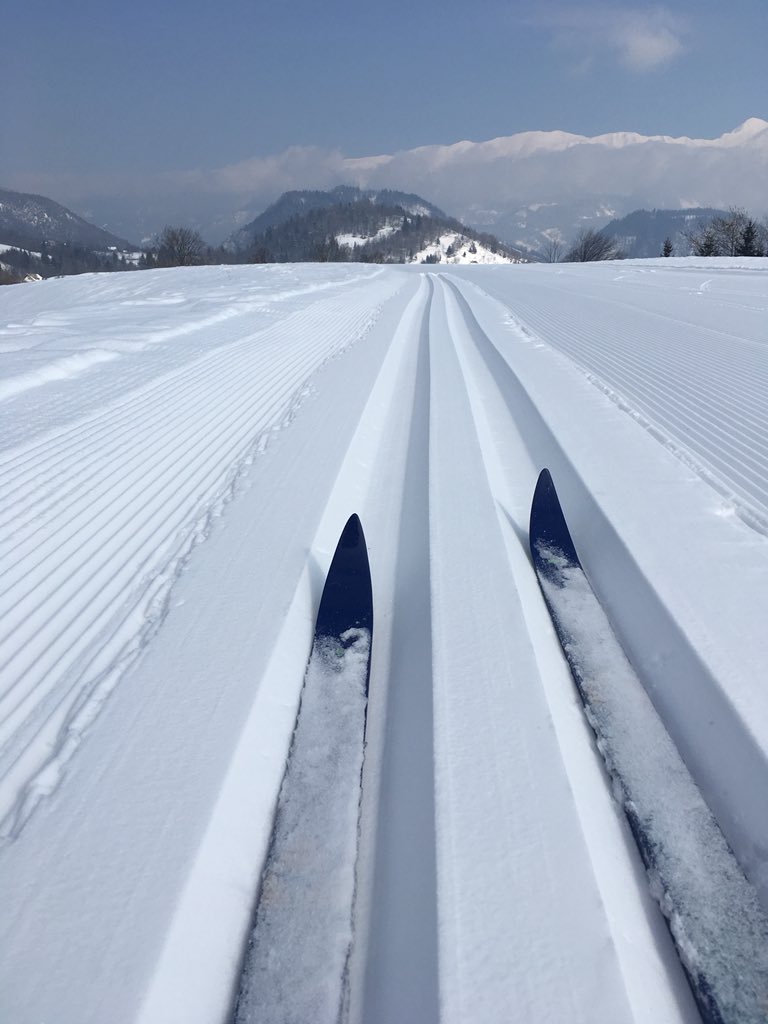 Alpine_Retreat's tweet photo. Super day on the 3km cross country circuit in Gorje today, just a short drive from Zasip. https://t.co/u0Wb2VkLQ9