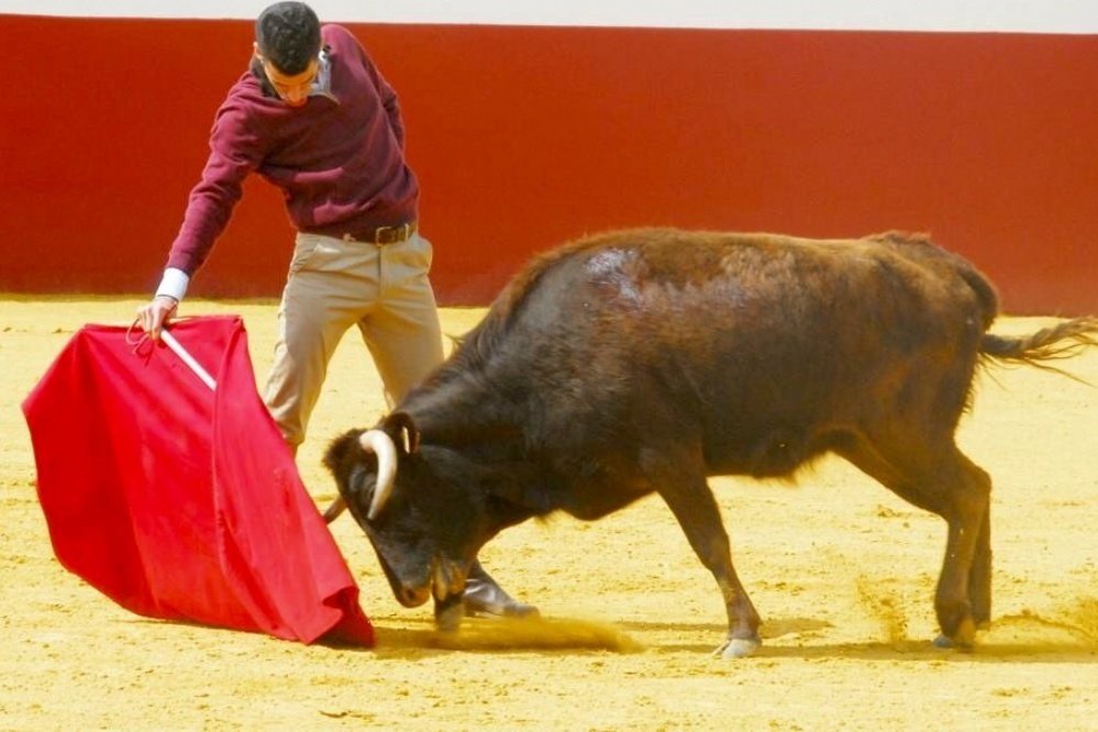 cultorocom's tweet photo. CIUDAD REAL Tentadero público contra el cáncer infantil el 18 de marzo en Socuéllamos https://t.co/edknK1Z16D https://t.co/KIe6p32r4r
