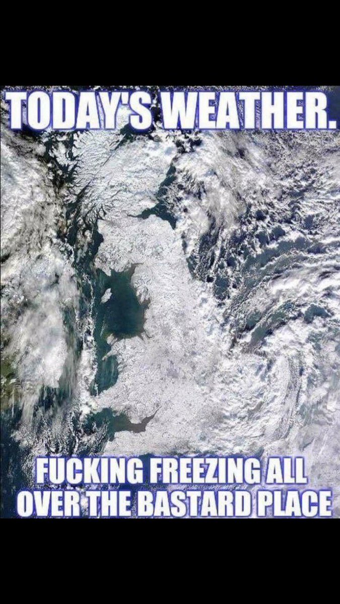 The Angry Evertonian (@evertonianangry) on Twitter photo 