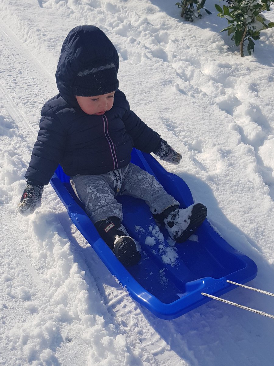 lauren jade tweet media