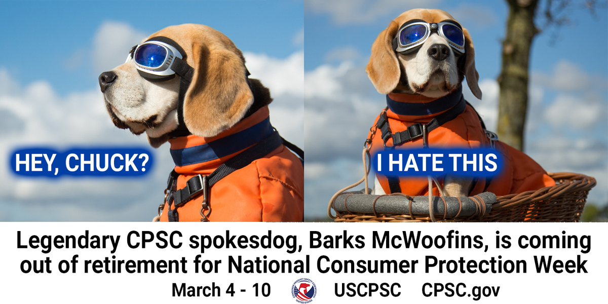 A dog wearing blue googles and an orange jacket is sitting in a basket. They have a blank expression on their face. While looking off camera, they say "Hey, Chuck? I hate this." The text below them reads, "Legendary CPSC Spokesdog, Barks McWoofins, is coming out of retirement for National Consumer Protection Week." March 4 to 10.