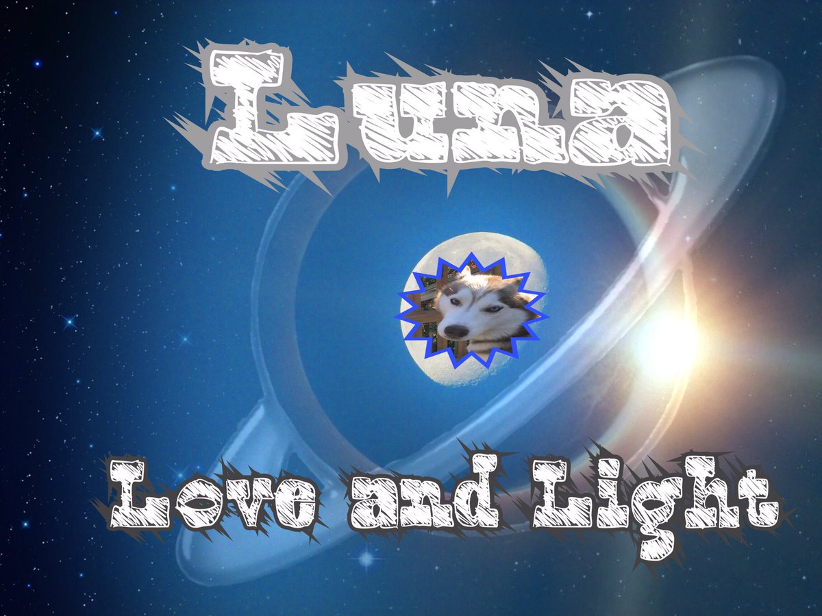 LunaSheetzhusky's tweet photo. Love and Light #huskylover #huskygoddess #huskiesrule #love #light @gemstoneswitch @redant17816947 @sangromancy @AmethystQu @TarotistaWiccan https://t.co/xkJwCvYIw5