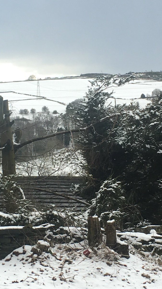 xnatlfield2x's tweet photo. Snowy days #uksnow https://t.co/zM2XTkCGDQ