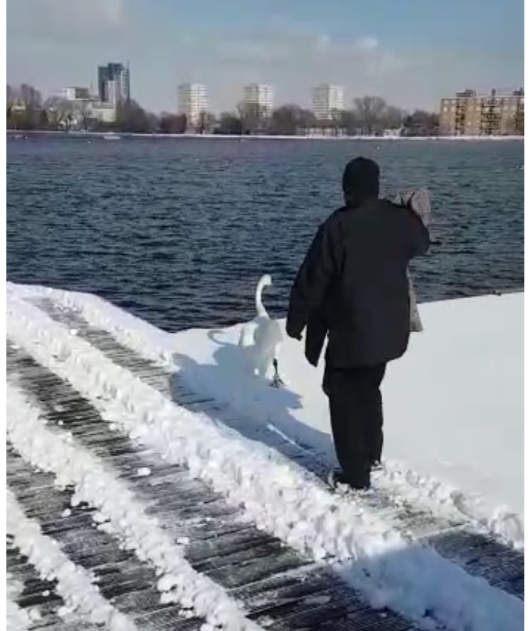 MPSHackney's tweet image. The #HackneySwan rescue team from #GDTeamC - mission accomplished. One of the more unusual calls of the day!