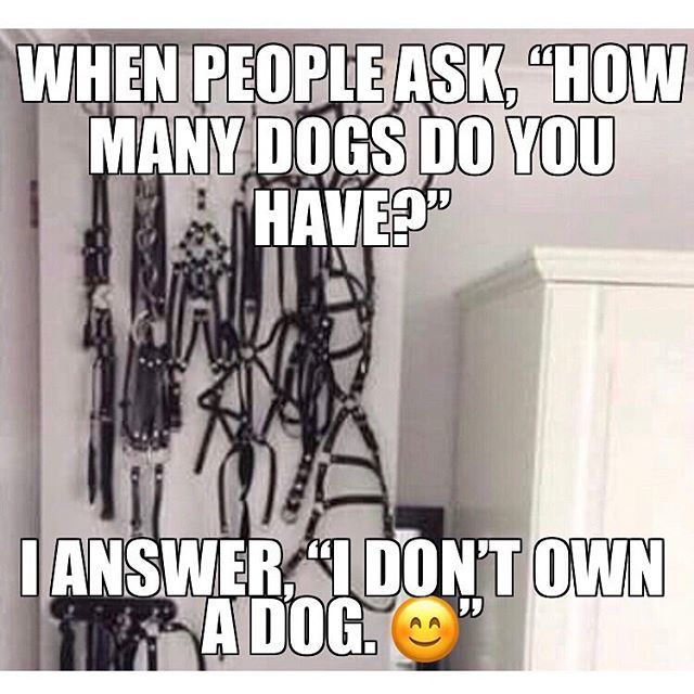 RedneckFuel's tweet image. Visit: RedneckRocketFuel.com