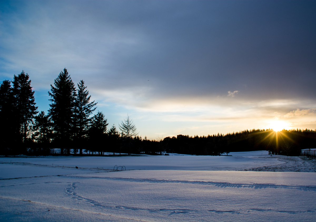 EverlongPhotos's tweet photo. Sunset over Elgin Golf Course today #BeastFaeTheEast #Elgin #Moray #WHMoray #sunset #MyMoray #MoraySpeyside #Scotland #Sunset #Photography #BeastFromTheEast https://t.co/3IIFRVI71m
