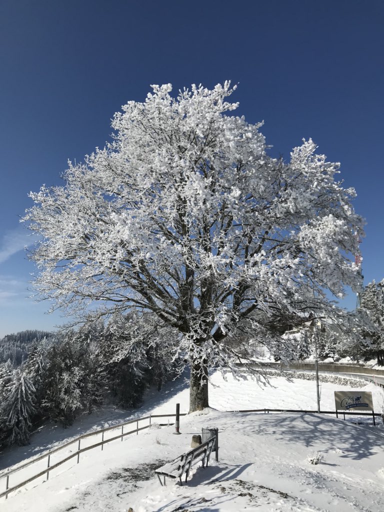 sandro_w_hess's tweet photo. Heute Mittag auf dem #StAnton bei #Oberegg - schö gsi! ❄️😎🌞
#Winter #Schnee #Sonnenschein #Alpstein #Panorama https://t.co/yW9m6Lga1f
