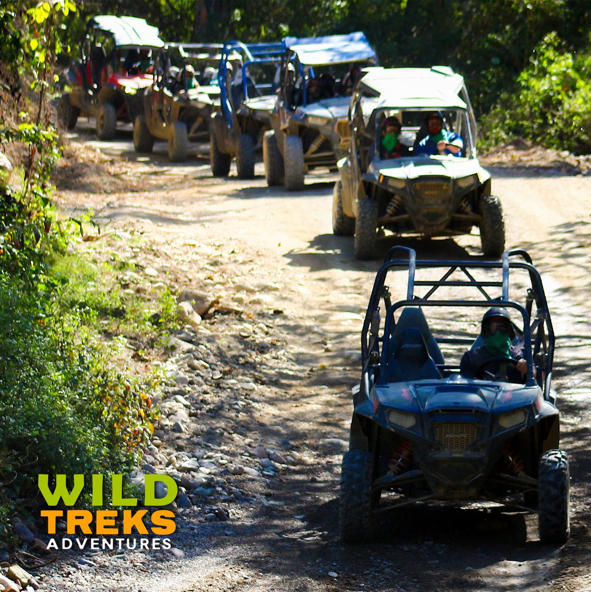 wildtrekspv's tweet photo. Ecoturismo en familia: Conoce la riqueza natural de Puerto Vallarta y maravíllate con su amplia diversidad de flora y fauna en nuestros tours, Rancho Vegas o Rancho Pilas. #AventuraenFamilia #Ecoturismo 💪😎 https://t.co/Tv3ZKpttJG