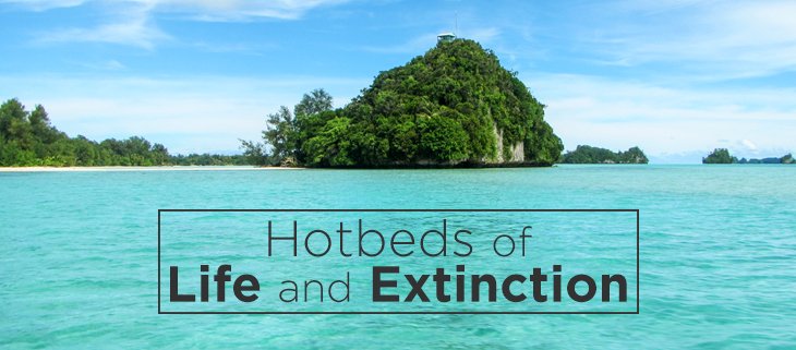 IslandConserv's tweet photo. Islands are hotbeds of life as well as #extinction, but #conservation is possible. Together we can #preventextinctions. https://t.co/L8S783ZeX2 https://t.co/bGAlipsfkj