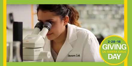 Photo of undergrad research project for Giving Day