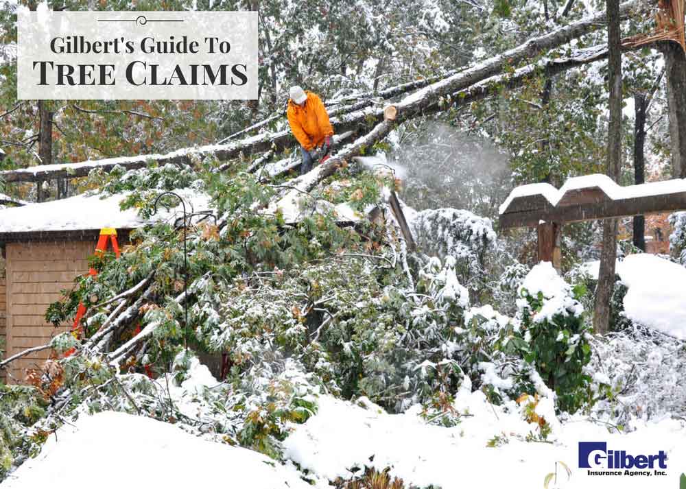 Gilbert_Ins's tweet photo. #Winter has taken a toll on your trees. Prevent tree-related claims with tips from our latest blog: https://t.co/e7Rl6IHaGj #Insurance https://t.co/8ZCE5RdBxg