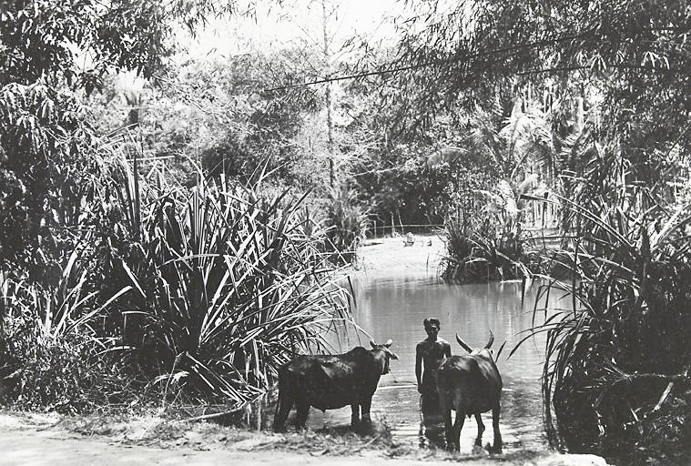 Noria (Water wheel)