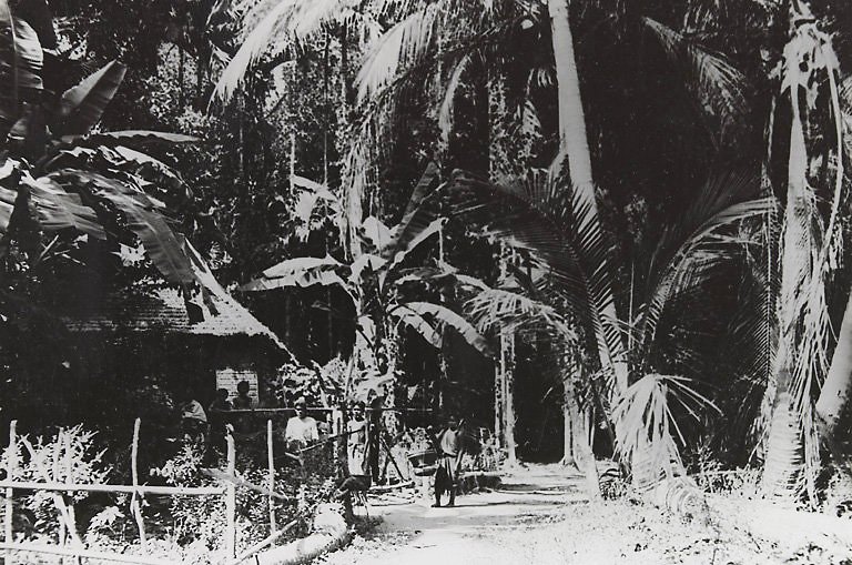 Village in Siem Reap area