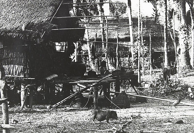 Village life around Angkor Wat