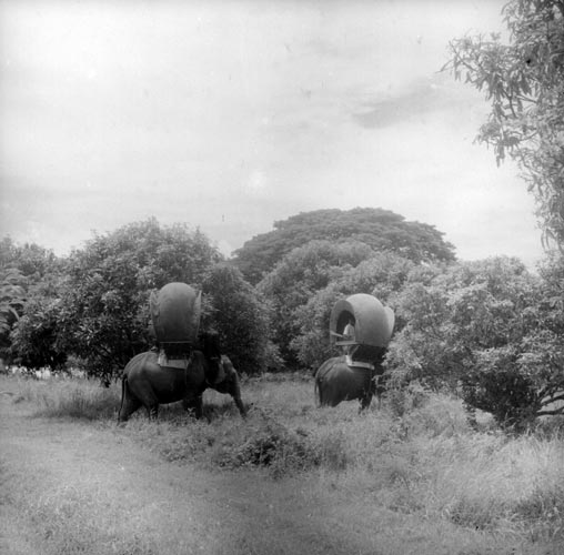 Elephant howdahs