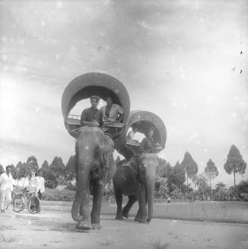 Elephant howdahs