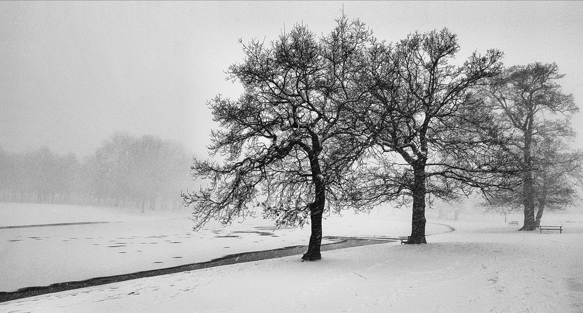 UTB68's tweet photo. #snow #winter #beastfromtheeast #chillywalkhome https://t.co/tXNM4GUCTY