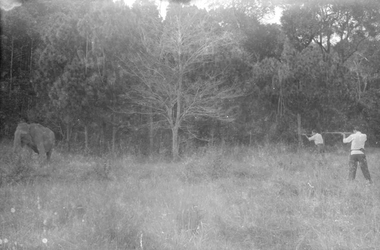 Elephant hunting in Cambodia