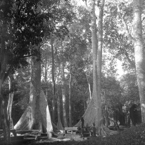 historic picture of Ta Prohm temple