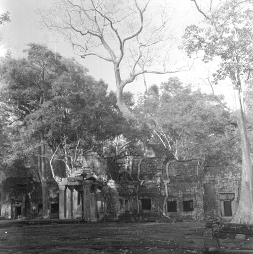 historic picture of Ta Prohm temple