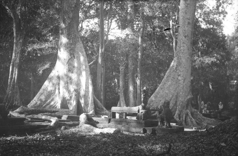 historic picture of Ta Prohm temple