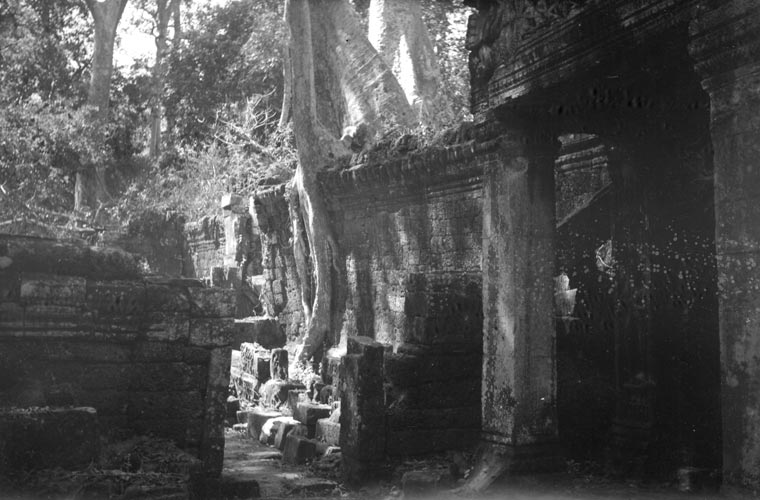 historic picture of Ta Prohm temple