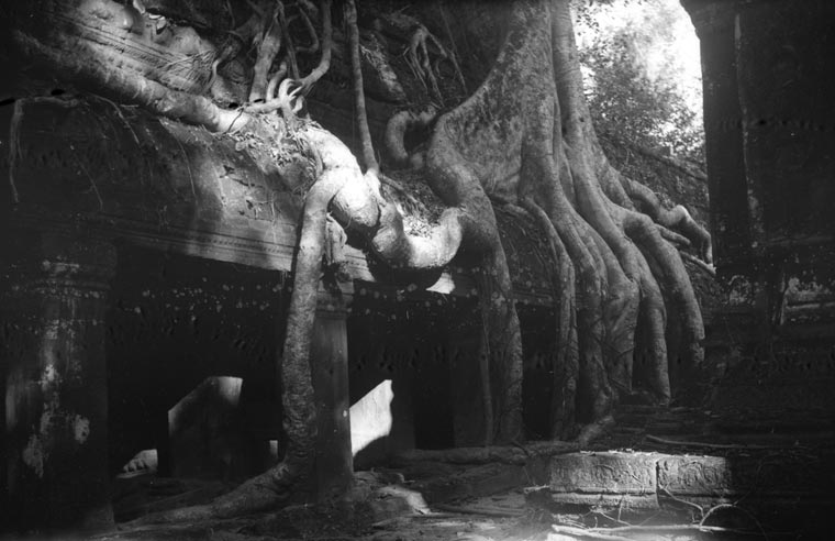 historic picture of Ta Prohm temple
