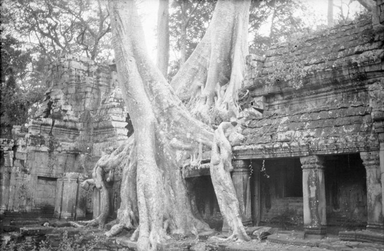 historic picture of Ta Prohm temple