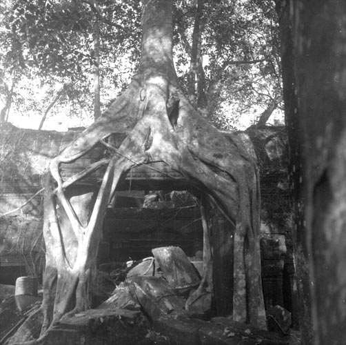 historic picture of Ta Prohm temple