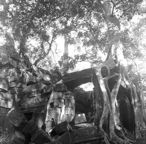 historic picture of Ta Prohm temple