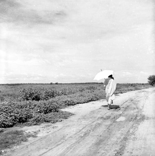 Monks and pagodas in Cambodia