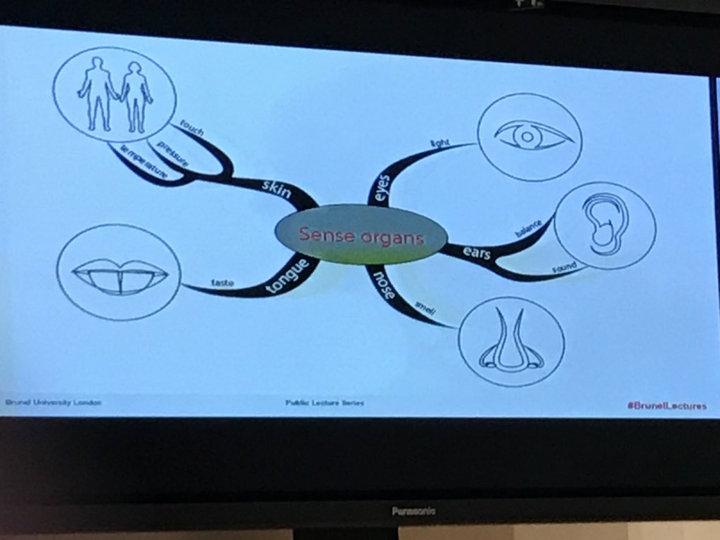 Great to hear Dr Degen provide challenge on how we experience our living environments. A move towards a more sensory experience is necessary to improve happiness #brunellectures