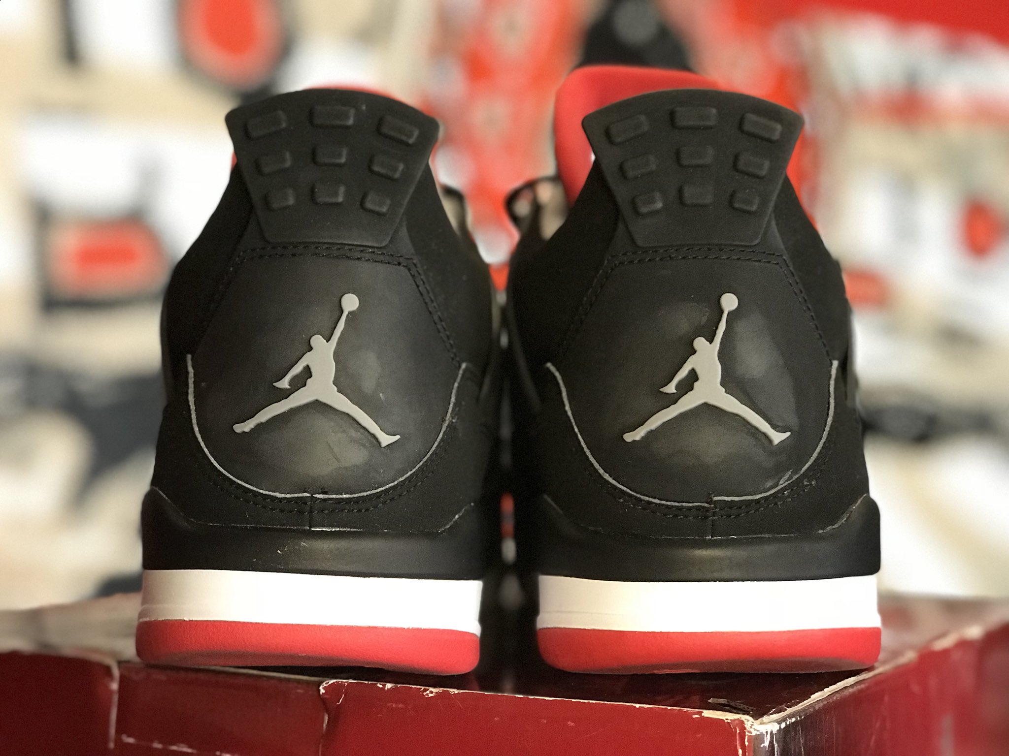 Cdp store bred 4