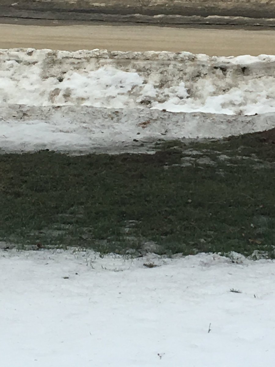 Mike Coutts tweet media