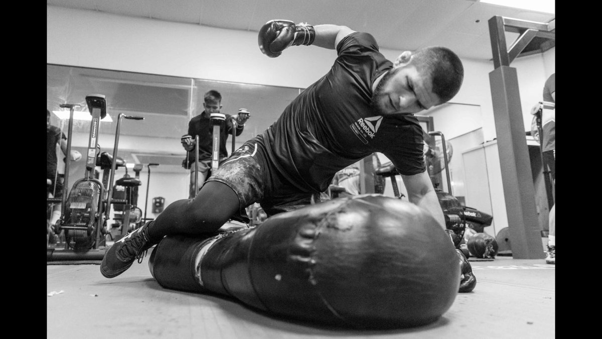 AliAbdelaziz00's tweet photo. They all can talk but only a few can deliver. @TeamKhabib the eagle https://t.co/ANwE9sS9jA