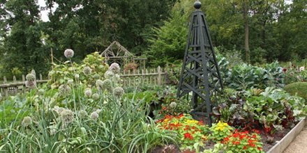HolmesScience's tweet photo. Check out @MortonArboretum edible gardening series! Even a kid-friendly one! #D60Learns https://t.co/ARmhl0zP6I https://t.co/LgZdwYswfD