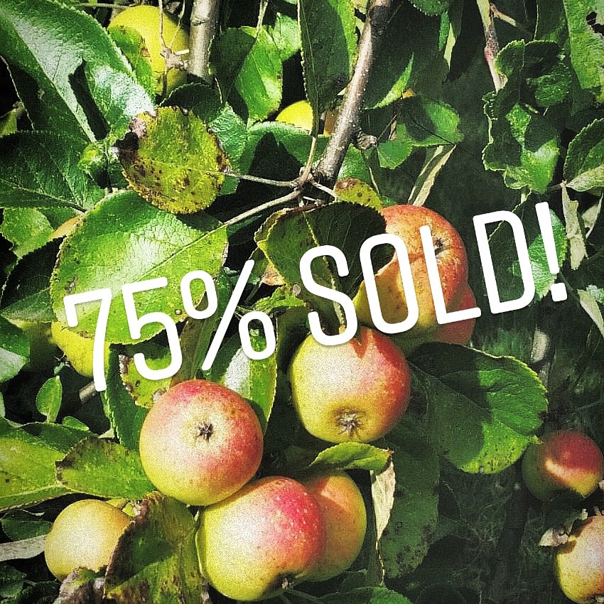 BC Cider Festival (@bcciderfest) on Twitter photo 30+ cideries will be attending w/ LOTS of brand new ones! No extra tickets added so be sure to grab yours soon. What does your ticket include?
-Entry to <a href="/pipeshop_venue/">The Pipe Shop</a>
-Tasting glass
-Craft cider samples (small pours, no tokens)
-Cider tasting notebook
-GOOD TIMES!
#bcciderfest 30+ cideries will be attending w/ LOTS of brand new ones! No extra tickets added so be sure to grab yours soon. What does your ticket include?
-Entry to <a href="/pipeshop_venue/">The Pipe Shop</a>
-Tasting glass
-Craft cider samples (small pours, no tokens)
-Cider tasting notebook
-GOOD TIMES!
#bcciderfest