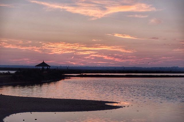 El viaje mehizo a mí tweet media