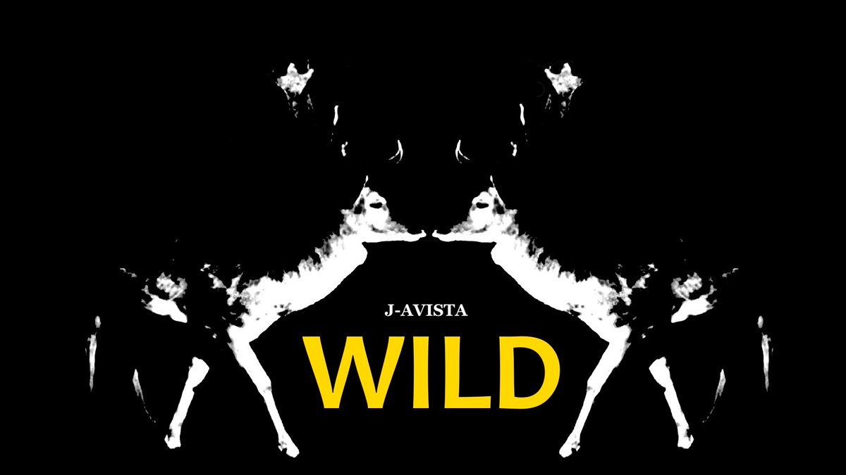 j_avista's tweet photo. #electronicmusic #music 🔊🔊🔊
https://t.co/Uo2iMmJ09o https://t.co/u1Lyn5jlcy