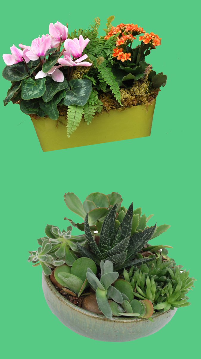 Which one do you prefer? #fourchairs #spring