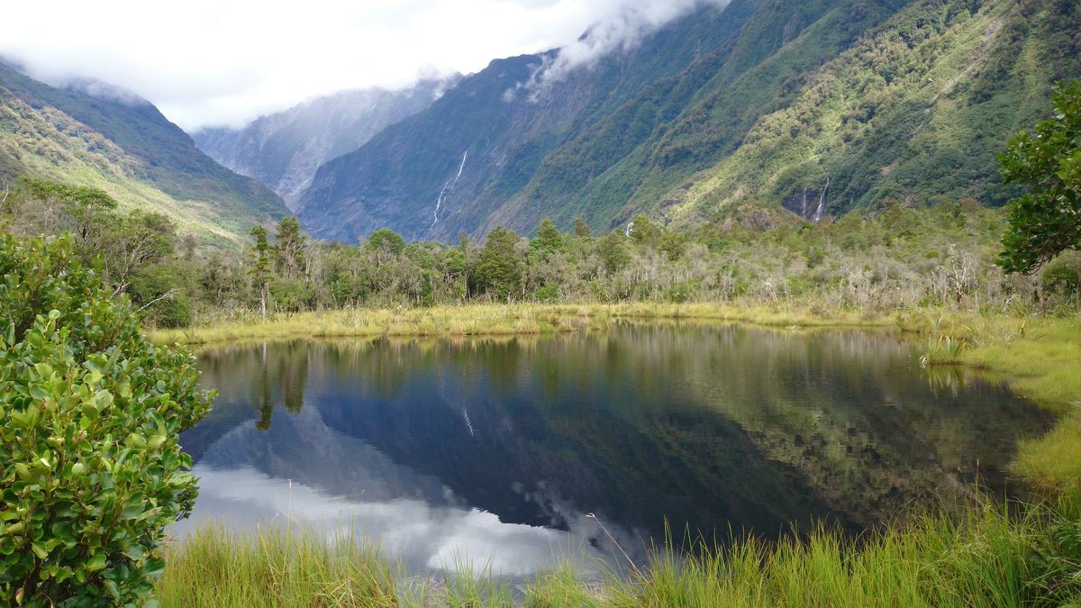 backpackrmiles's tweet image. La Nouvelle-Zélande en couleur #BackpackrMiles