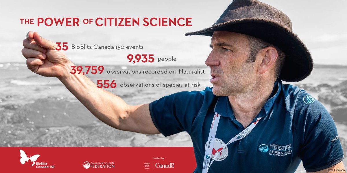 CWF_FCF's tweet photo. Together, we created the biggest BioBlitz that @Canada has ever seen! https://t.co/468v67wwPR #BioBlitz150 #CitizenScience https://t.co/w8BBOAiIAn