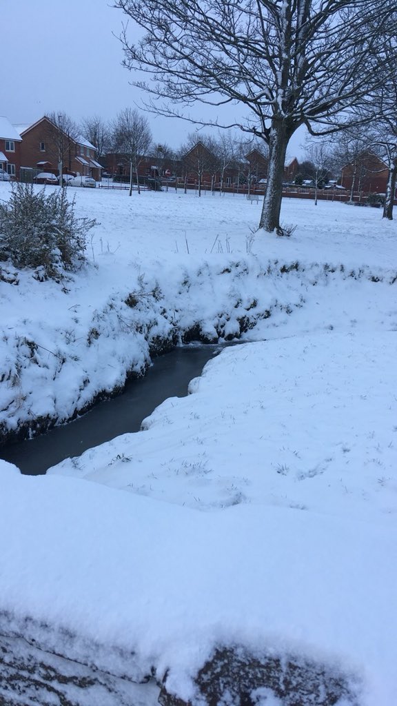 EmilyKaye_1's tweet photo. Beautiful walk to &amp; from work today in the snow! #wellies #snow https://t.co/QD4FP1f3Aa