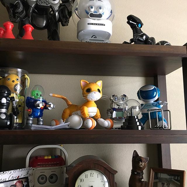 garry12gg's tweet photo. My robot collection 1/4 #zoomerkitty #discorobo #rsv2 #robosapienv2 #irv #irvrobot #brianthebrain https://t.co/o67ZPlOwsq https://t.co/v251ljTqZp