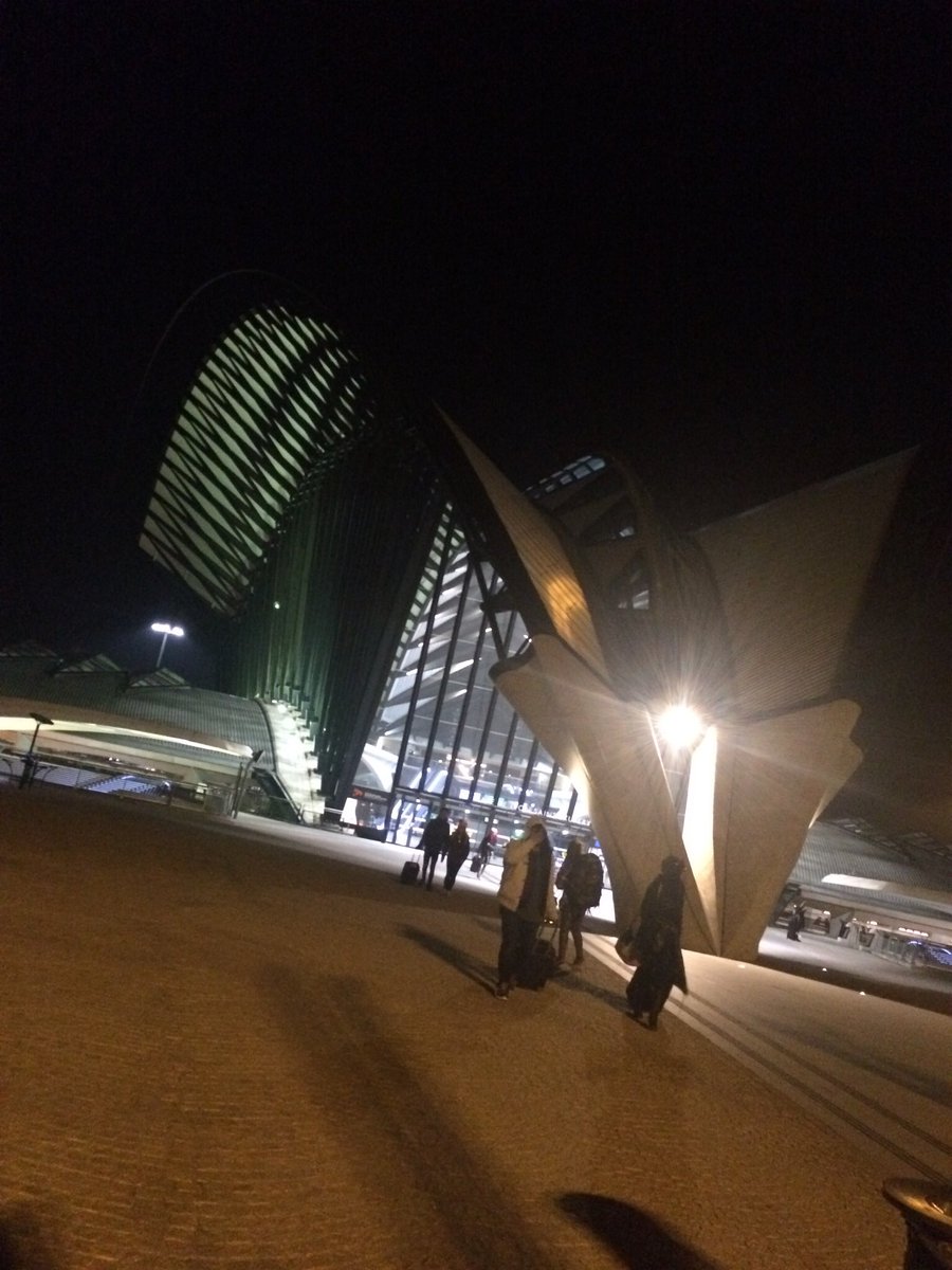 prof_epolito's tweet photo. Year 1 Architecture students at #calatrava rail station @DMUglobal @DMUArchitecture @LsaSociety https://t.co/SHkqAmDWOq