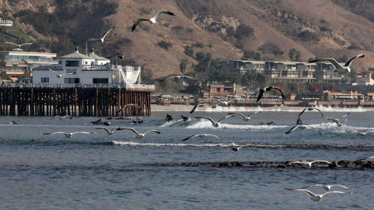 CalRecycle's tweet image. Malibu mother gets single-use plastic straws, stirrers &amp;amp; utensils banned from seaside city. @latimes buff.ly/2HPBZH4