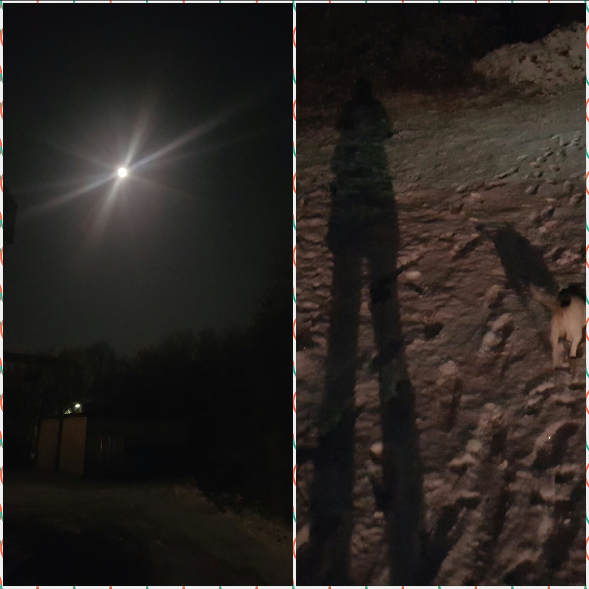 Der Mond taucht alles in Geheimnisvolles Licht...da kann man sich über eigenen Schatten erschrecken😊