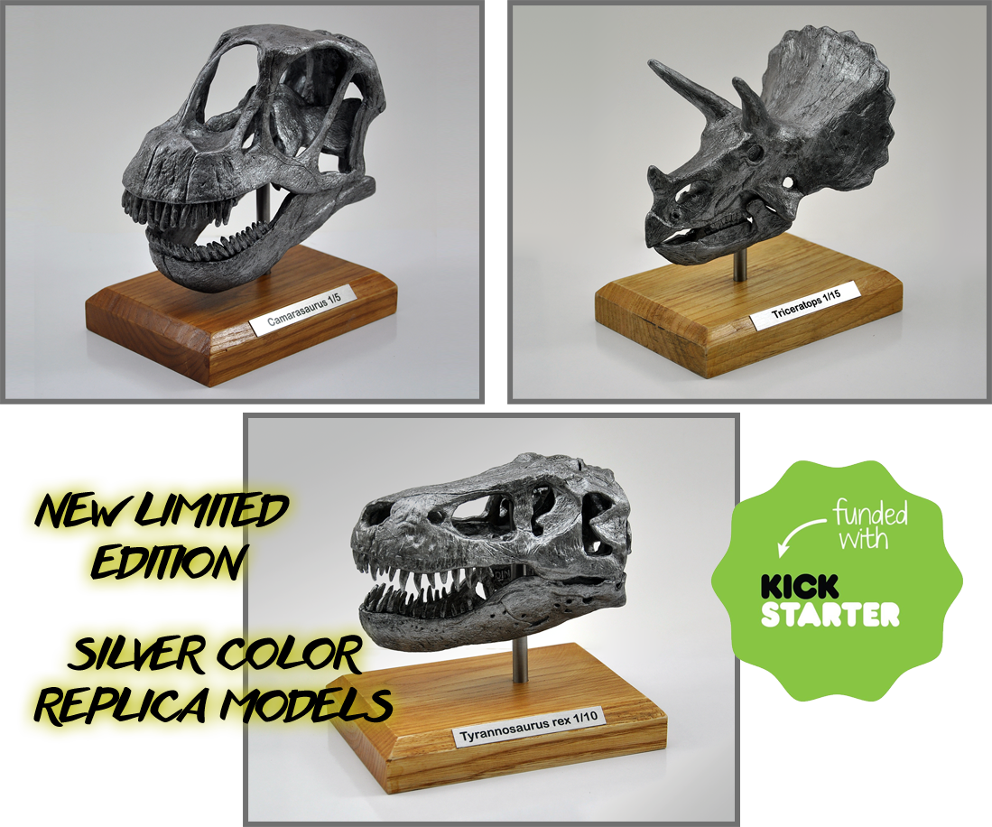 Dinofield Studio tweet media