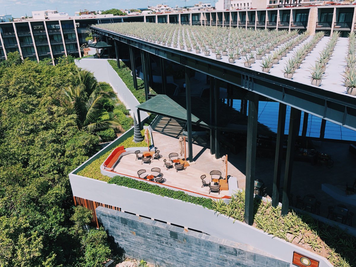 Hyatt's tweet photo. We're @GrandHyattPlaya for #TheGoodTasteSeries, our annual competition bringing together the best chefs across all of our hotels. Follow our Instagram story to watch the chefs cook their way to victory this week! https://t.co/Zalo0KJ2lv